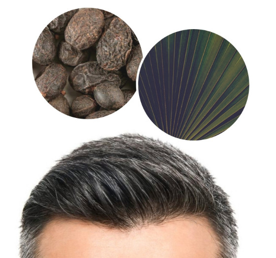 HR23+ hair growth supplement how it works