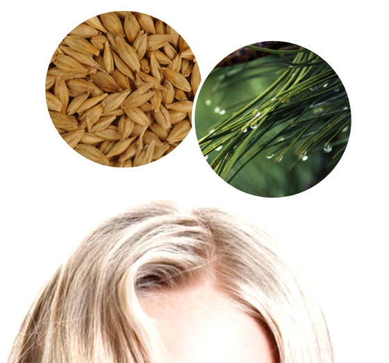 HR23+ hair growth supplement will it work for you? 